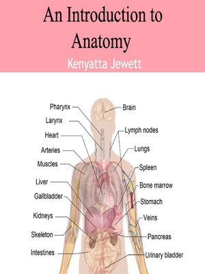 cover image of An Introduction to Anatomy